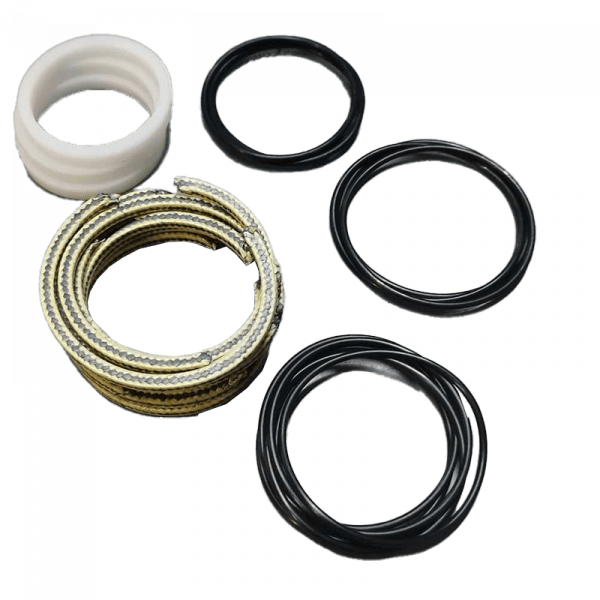 Jeu de joints 1503 P55